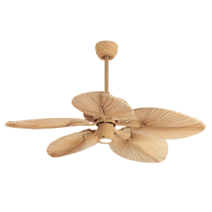 Ceiling Fan with Natural Light FM-NB530040WB Supplier Luminatura